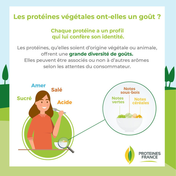 Infographie Goût végétal